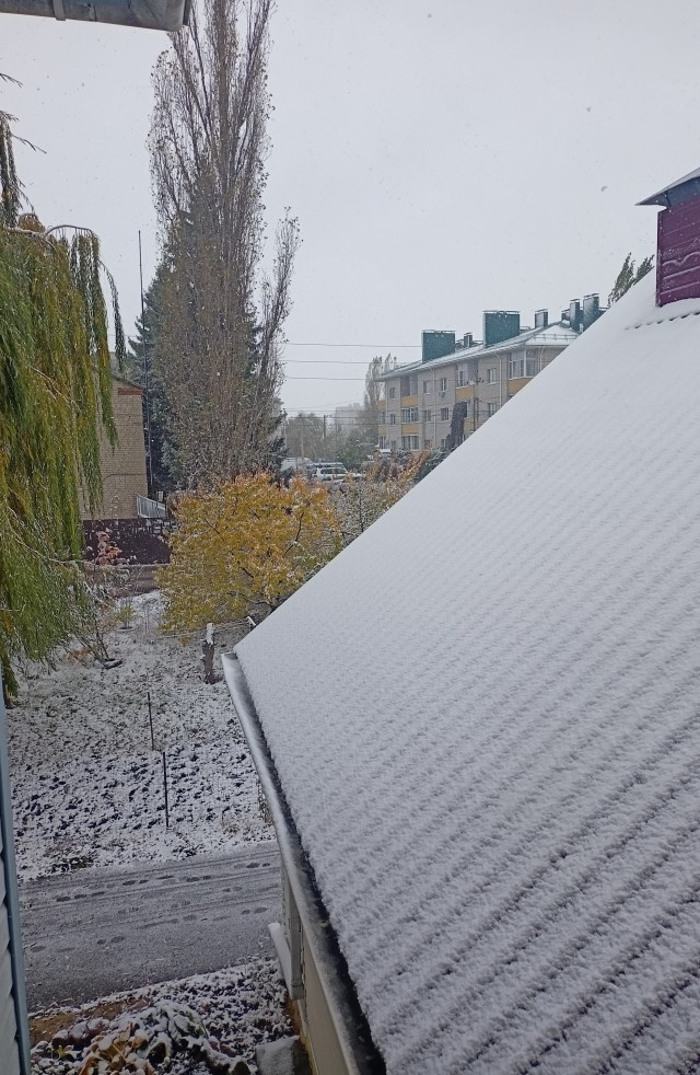 Зима подкралась незаметно