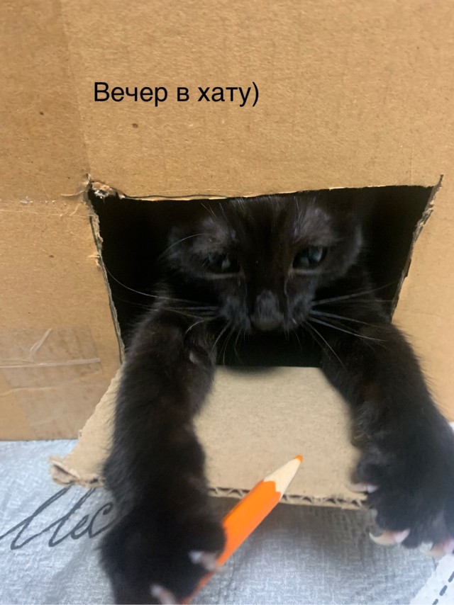 Дёмка вас желает видеть