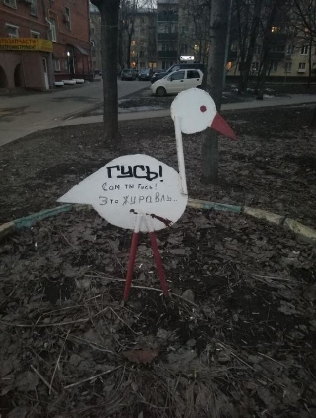 Гусь вялый
