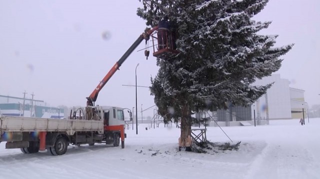 Власти города в Красноярском крае спилили ёлку местной жительницы и установили на городской площади