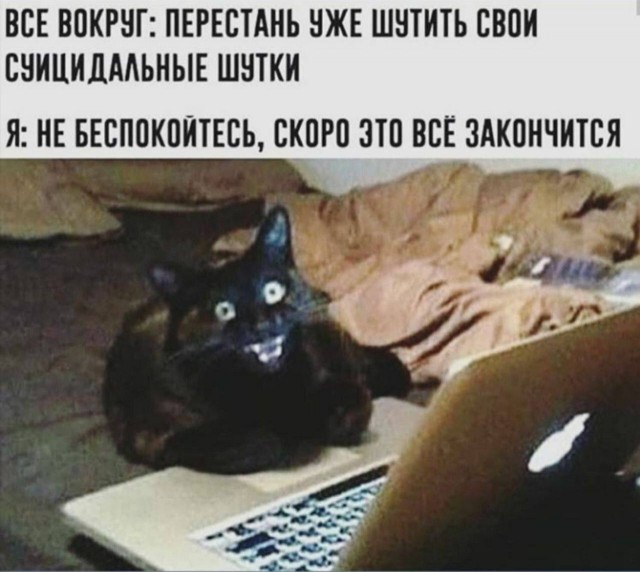 Отвал башки в конце января