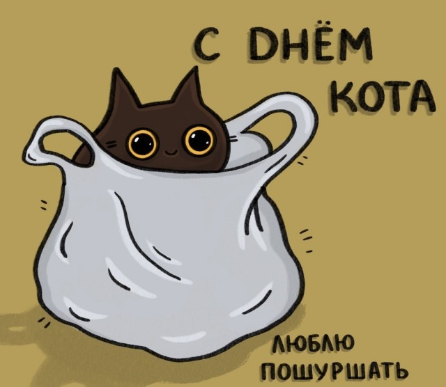 Жизнь домашнего приюта "Котоленд" 426