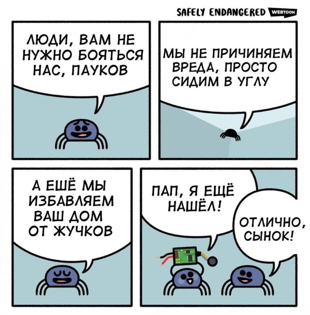 Нуштош 29.07.2024