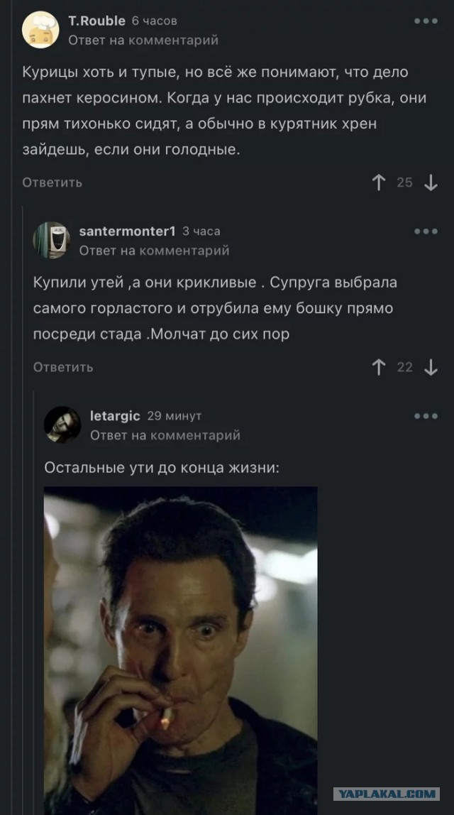 Деградируем и подпеваем - v. 2,0