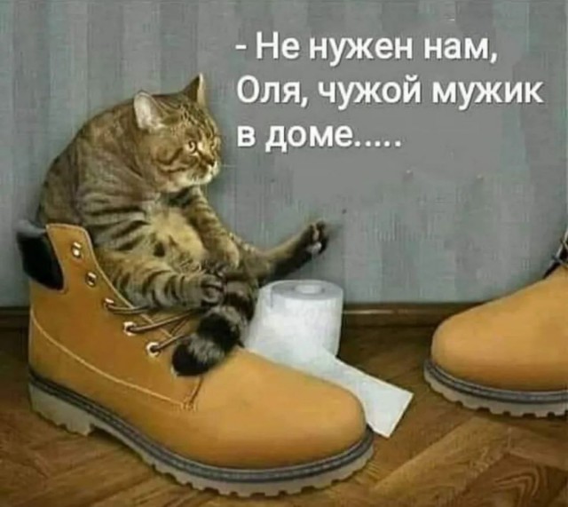 Завалялось тут случайно немного забавных картинок