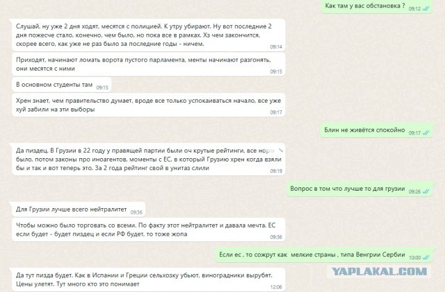 Случай на протестах в Грузии