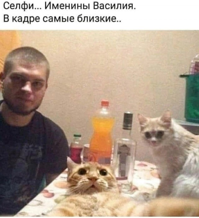 Так себе картинки 06.12.24
