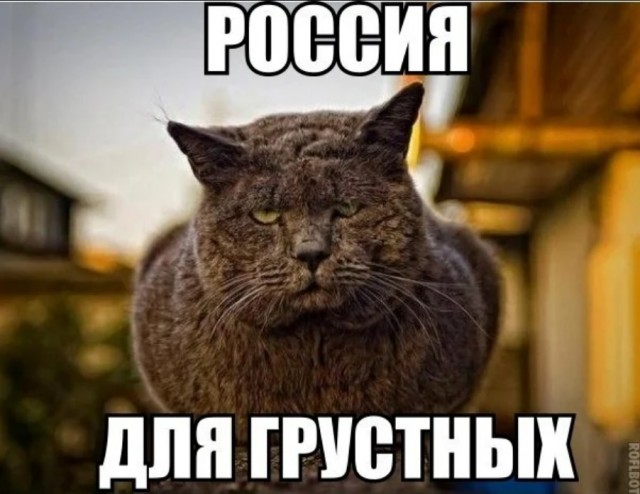Калининградский чиновник, отвечающий за цифровизацию улыбнулся на кассе супермаркета и случайно купил водку другому человеку