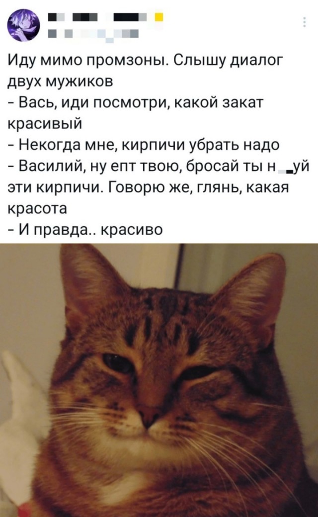 Так себе картинки 13.03.25