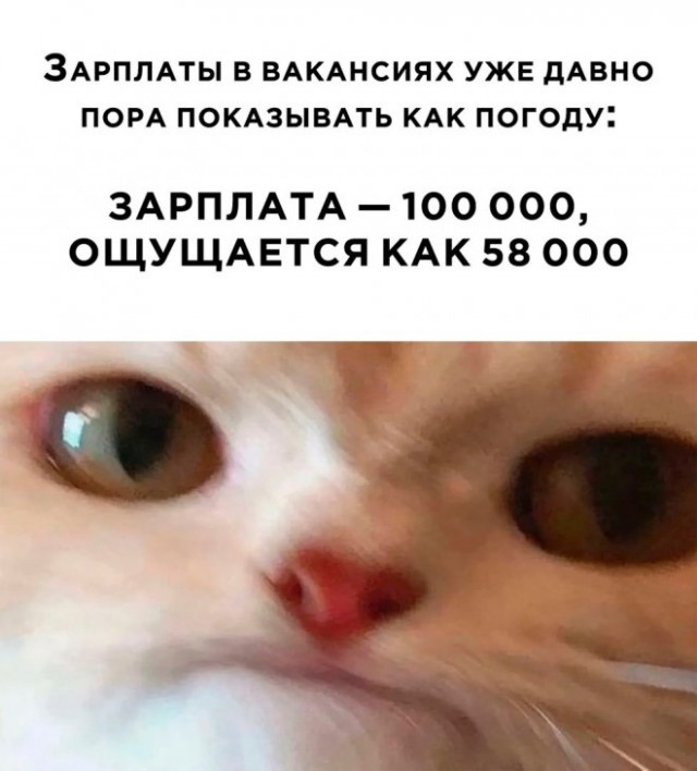 Веселые картинки в понедельник (24.03)