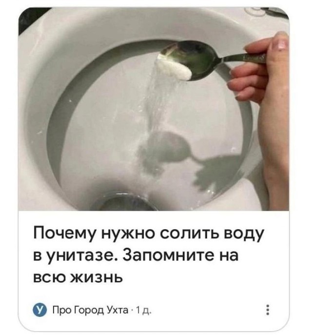 Сеня, дичь!