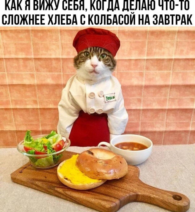 Подборка мемчиков за пол дня