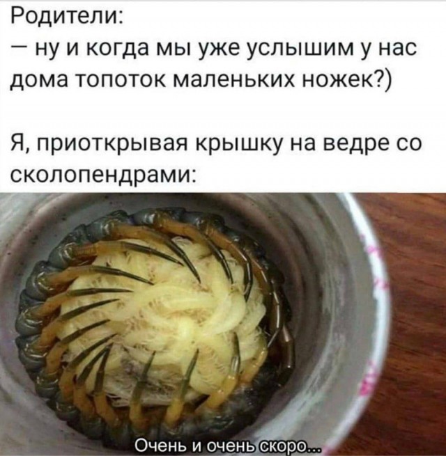 Так себе картинки 13.09.25