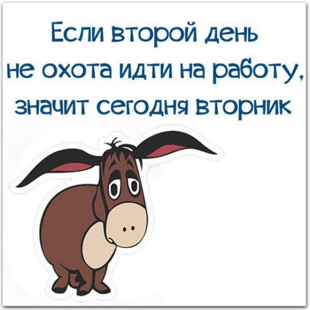 Вторник. Немного картинок