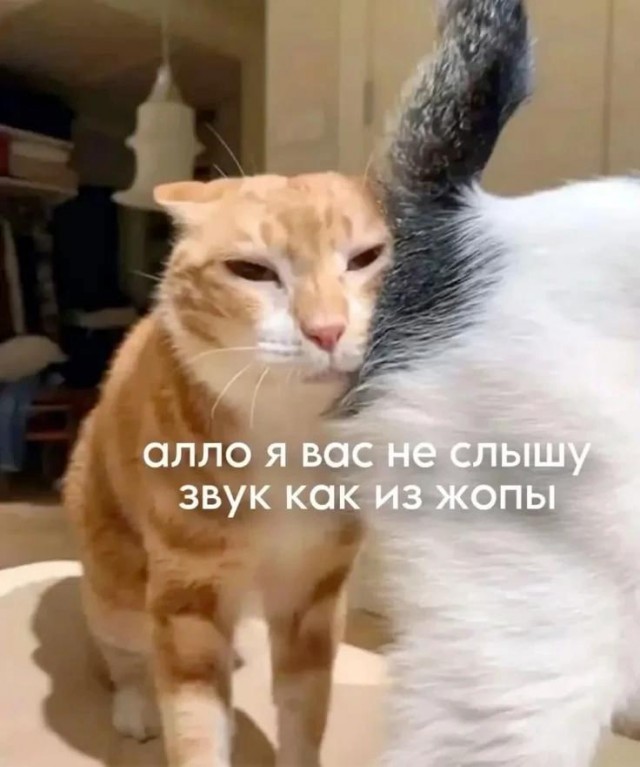 Задание для путешественника во времени номер 1494