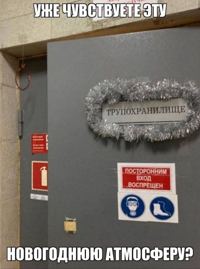 Предновогодние бояны