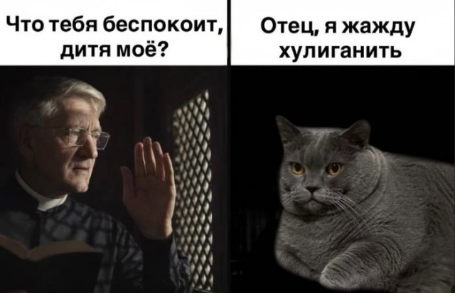 Картиночки, баянчики 12 января