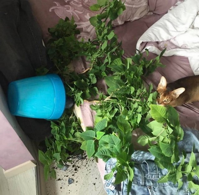 Оно, как известно, случается