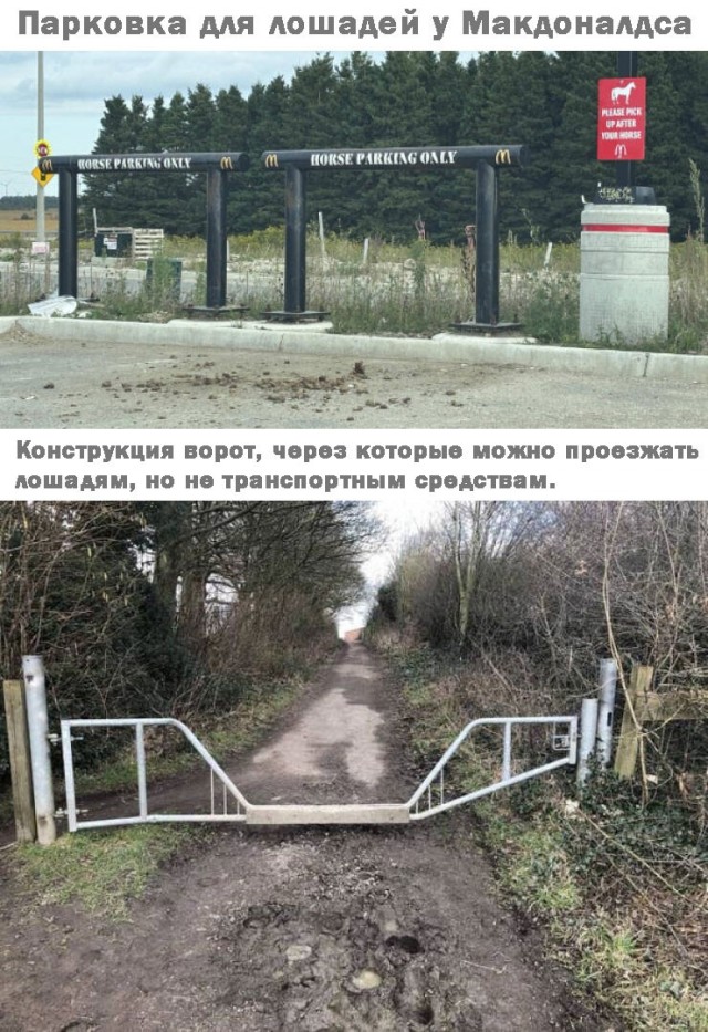 Прикольные и просто красивые картинки 10.07.2026