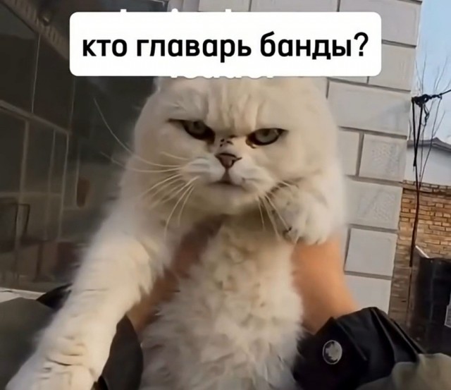 Бандиты