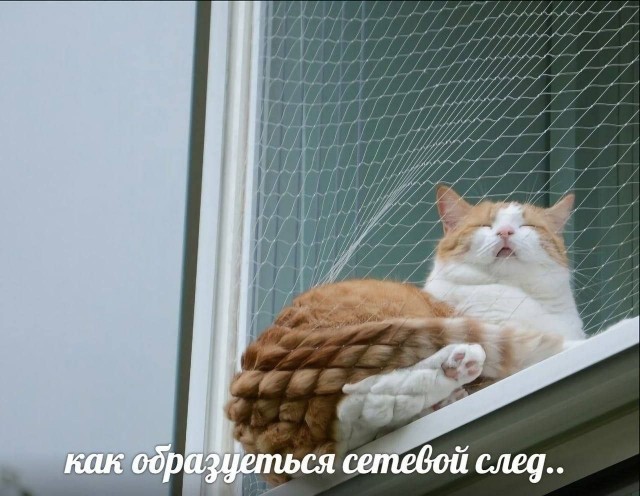 Картинки для деградации 238 (разной степени свежести)