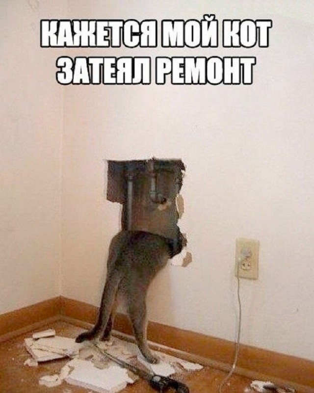 Так себе картинки 31.07.26