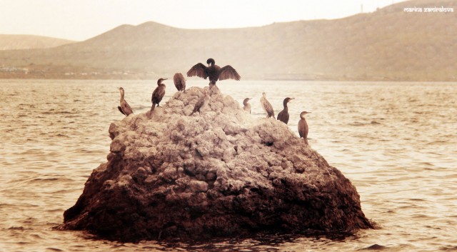 Крым: Судак и окрестности