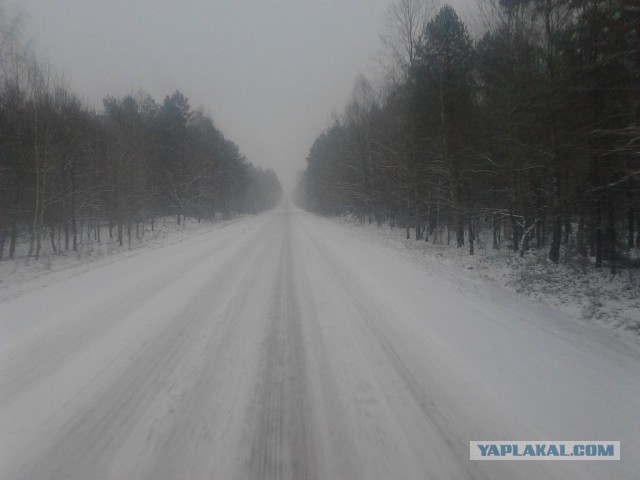 Где яблоки растут!