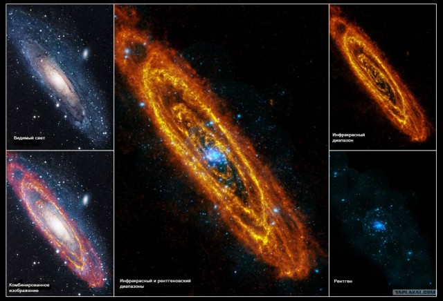 Рождение и смерть звёзд в галактике Андромеда