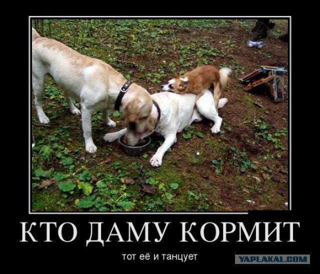 Позитивные картинки