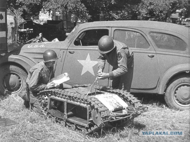 Wargaming 12, WoT сотоварищи
