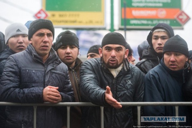 Таджик умер после допроса в подмосковной полиции