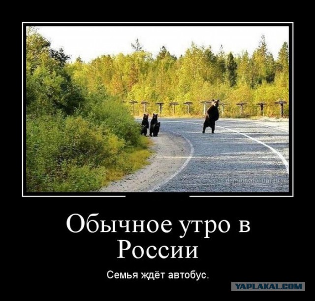 Подборка демотиваторов