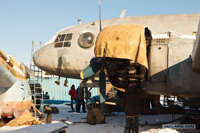 Восстановление Ил-14Т на Тушинском аэродроме