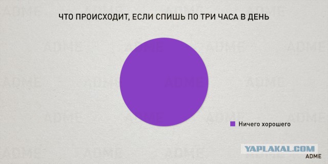 23 чертовски простые диаграммы о нашей жизни