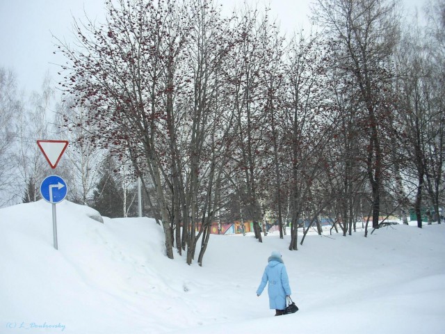 В черном городе