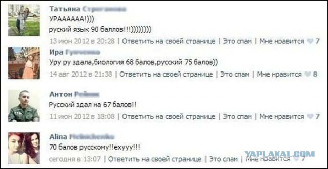 комментарии из соц сетей.