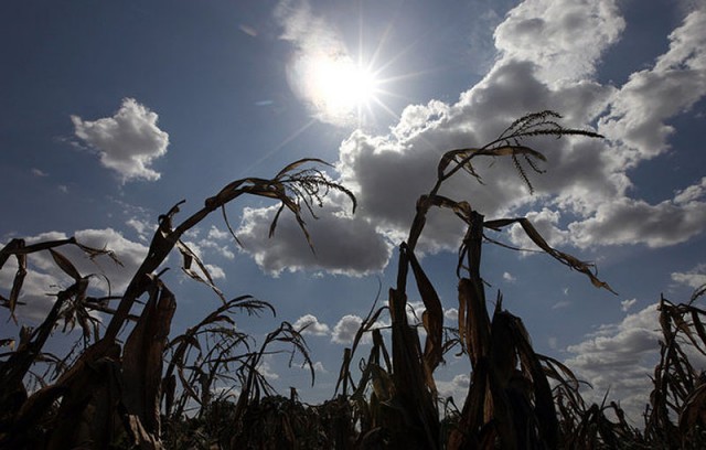 Жуткая засуха в Техасе: фанатики ждут конца света