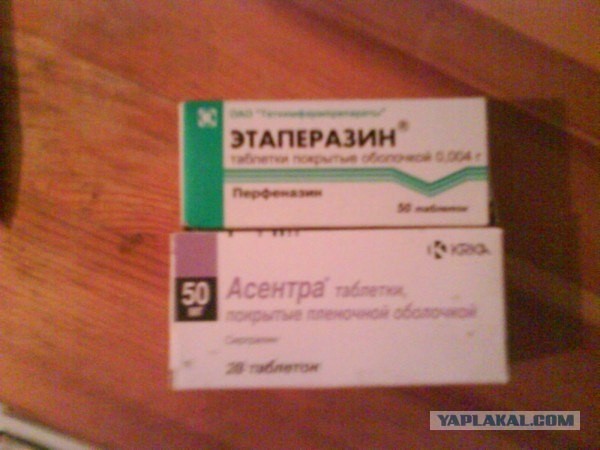 Один день из жизни шизофреника