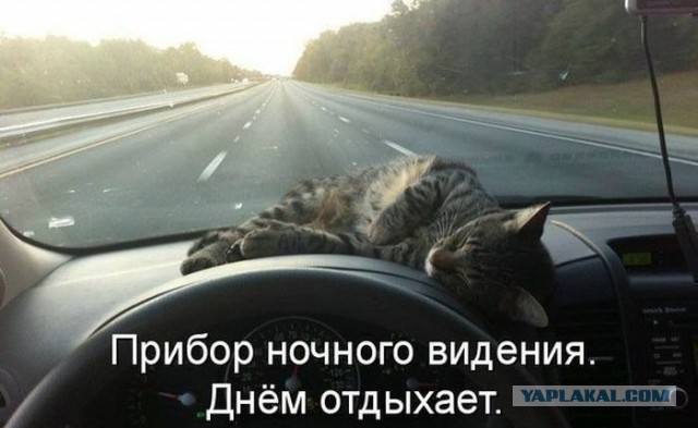 Автоприколы