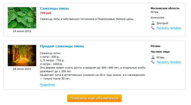 Липовые вандалы в Рязани - развязка близка