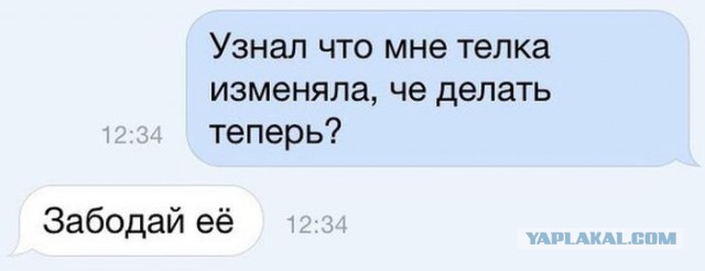 Прикольные картинки