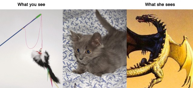 Размышления на тему об отношениях мужчин и женщин