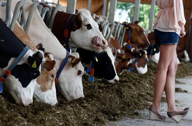 Калмыцкая телочка, 18+