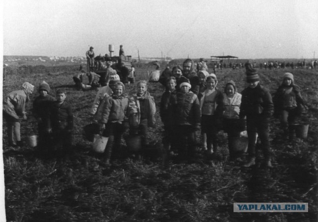 Американская мечта