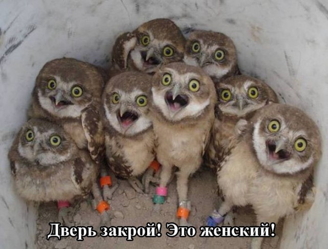 Под вечер, вторника.