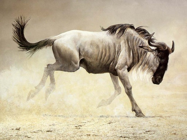 Рисованное зверьё
