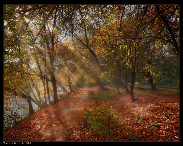 Осень