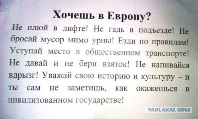 15 душевных объявлений из наших подъездов