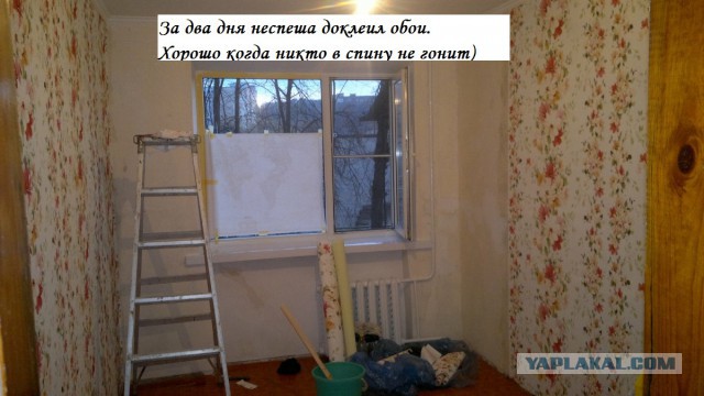 Два месяца сам дома